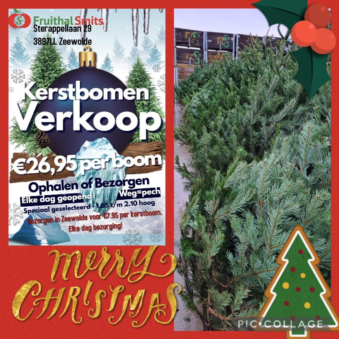 Kerstbomen verkoop bij Fruithalsmits in Zeewolde
#zeewolde #kerstboom