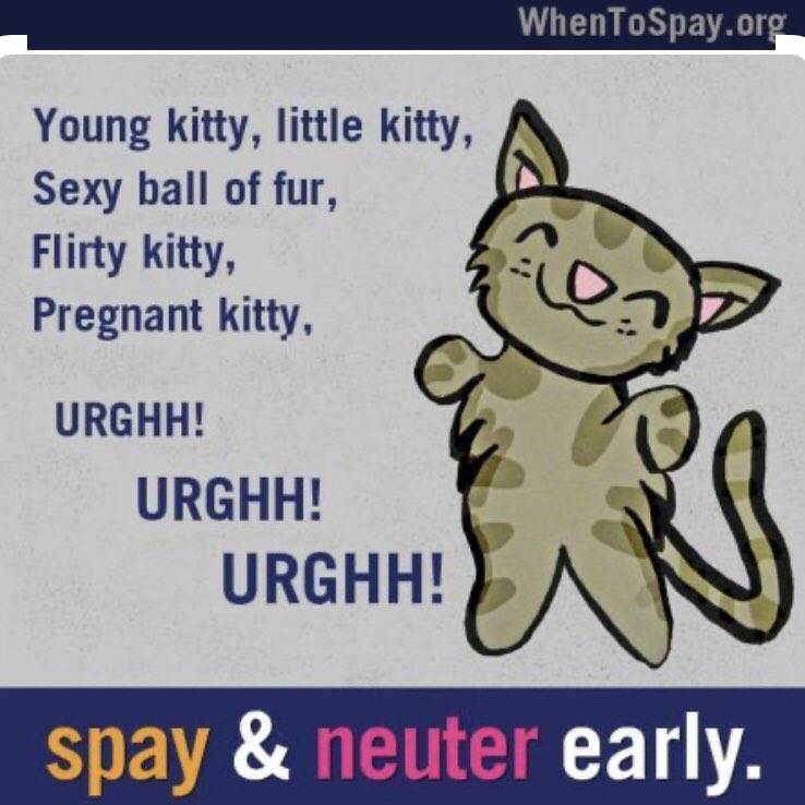 #spayandneuter