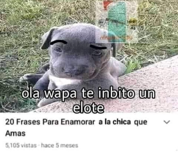 jhonlloid88's tweet photo. Ola wapa te inbito un elote 😏 https://t.co/1AdgtWL4JB