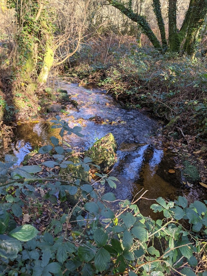 alocheval's tweet photo. Prends le temps d'observer la nature, tu y puiseras tes plus belles leçons.
#bretagne #naturelovers https://t.co/jSdC7LwBbO