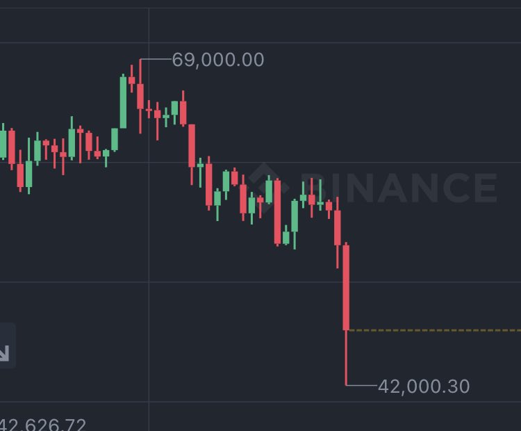 Dennis Porter tweet media