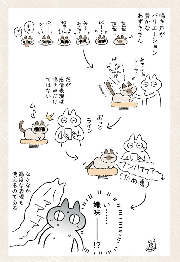 感情表現が高度な猫の行動に、飼い主冷や汗 行動に「笑った」「うちの子も!」 https://t.co/ZilmlqvRGO @grapeejpより 