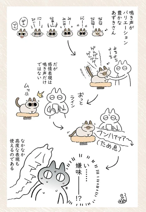感情表現が高度な猫の行動に、飼い主冷や汗 行動に「笑った」「うちの子も!」 https://t.co/ZilmlqvRGO @grapeejpより 