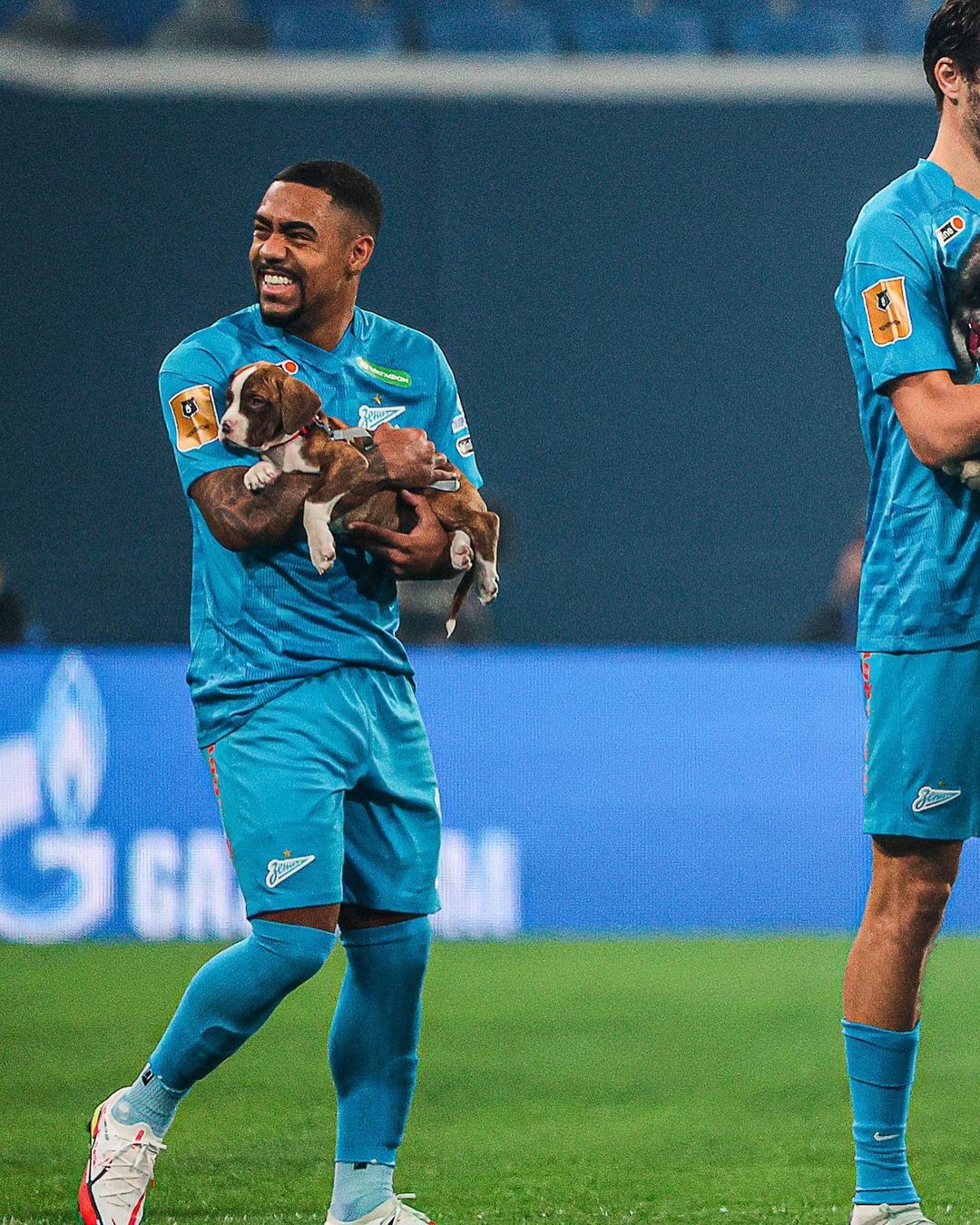 Ippei 拾拾拾 Eth 日本ｻｯｶｰ界 初 元選手 Nfticon Cnp おはや ワンワン ロシアで 首位 のチームは Fc犬 W Jリーグ も是非お手本に ペット売れ残り問題 保護犬を家族に 保護犬 犬 サンクトペテルブルク ゼニト