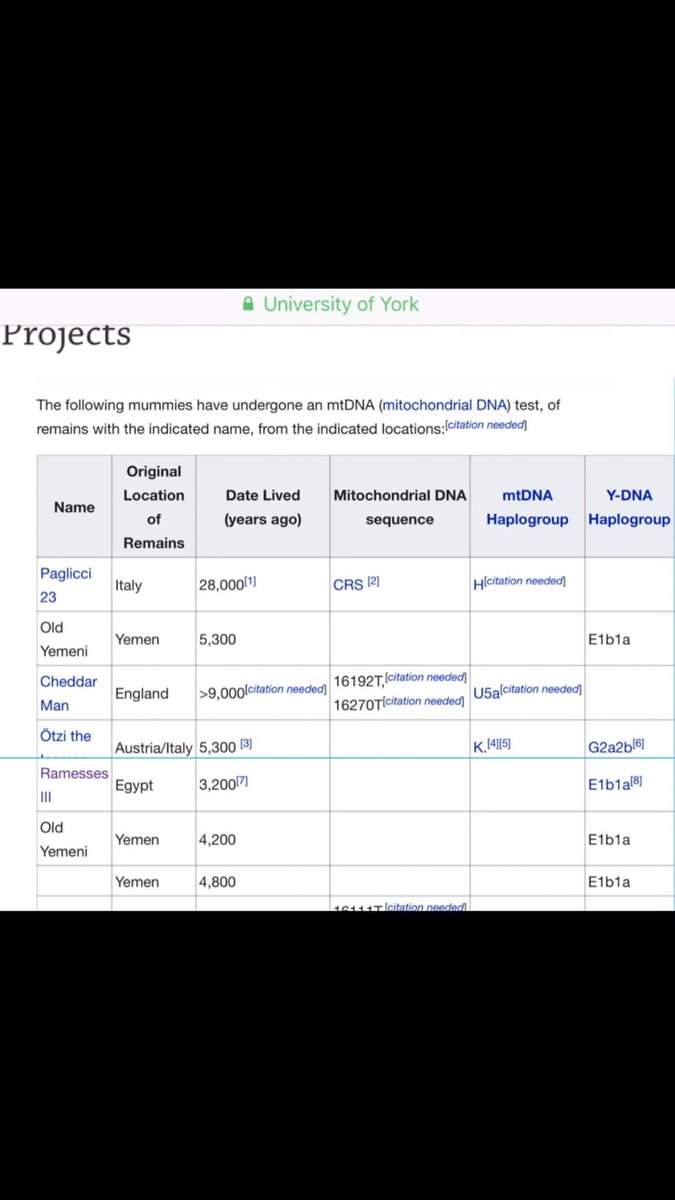 تقرير من جامعة يورك حول جينات المومياوات وتطرقت للمومياوات اليمنية  بعمر  ٥٣٠٠ سنة و٤٢٠٠ سنه و٤٨٠٠ سنه على السلالة E1b1a..