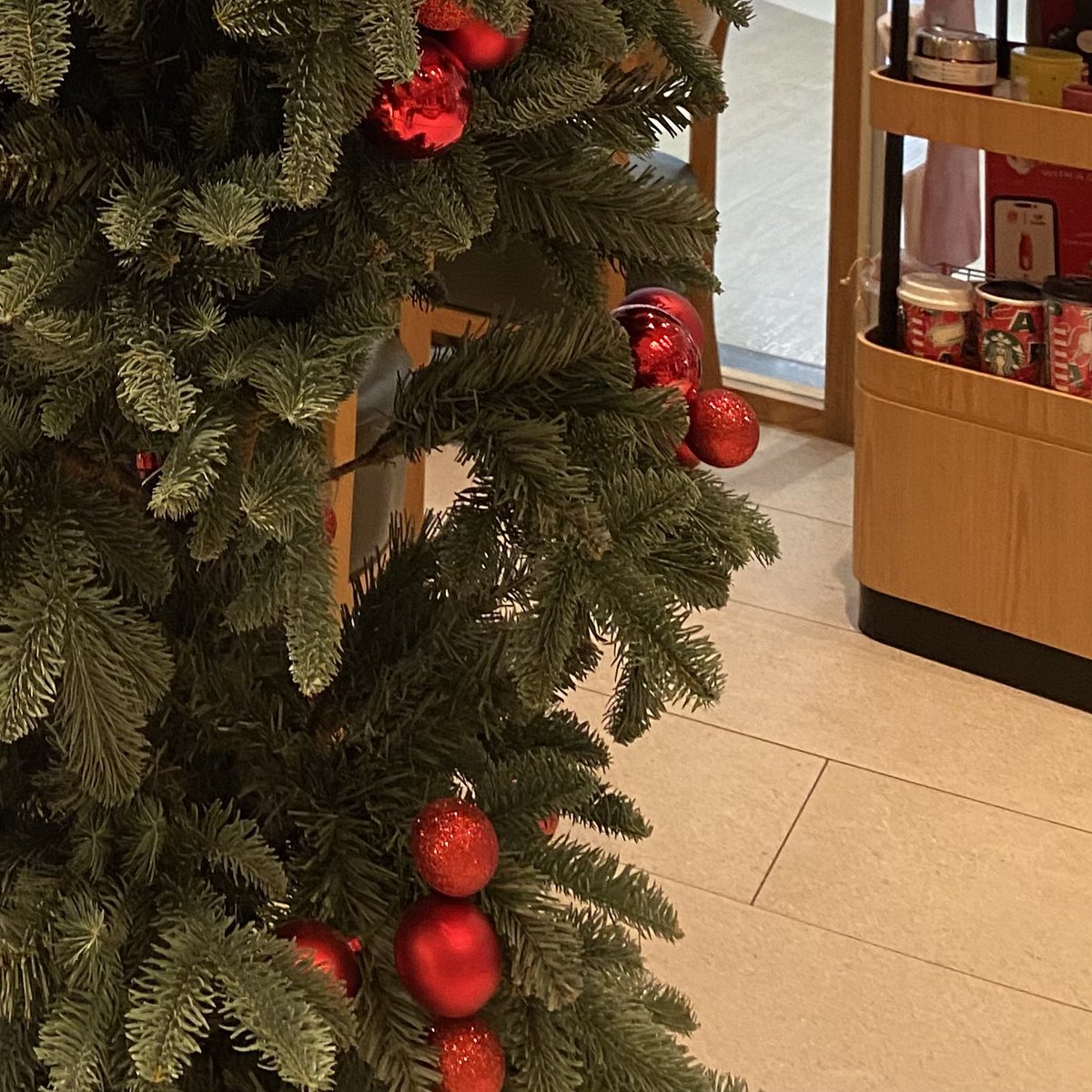 homey (adj.) – a place pleasantly comfy and cozy 🛋🎄🏠