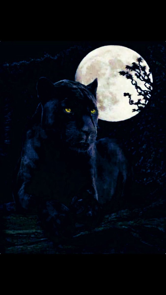 twistedLD's tweet image. Izithakazelo/Bio:

Kat’ Leo 🐆
Moon Lit 🌗
Lexicon Devil 😈
Tw!sted Nyan’☯️
Black Bhubesi 🐈‍⬛
Ingw’ Emnyama 🦁
YoBusuku beKnight 🥷
Leopardus Panthera 🥼