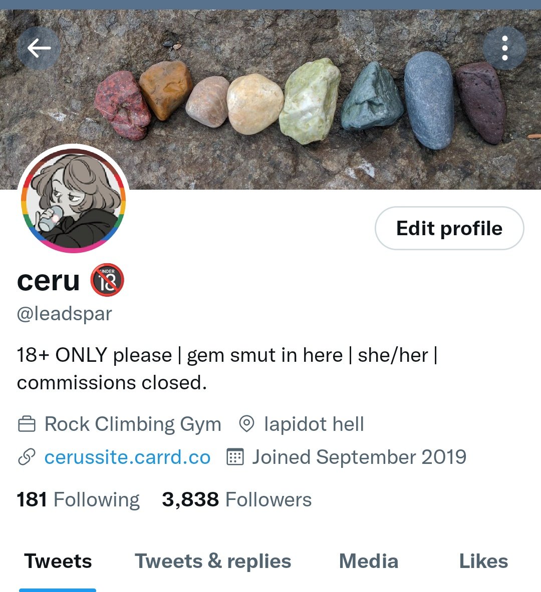 Since Twitter doesn't list any form of artist as a profession option, I settled for the next best thing.