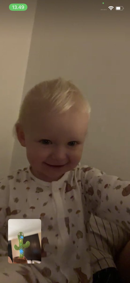 ViktorAxelsen's tweet photo. Morning FaceTime. Vega misses the Bali weather and  the dancing cactus which I will have to bring with me back 🌵🤣😍 https://t.co/68HVXWCiSK