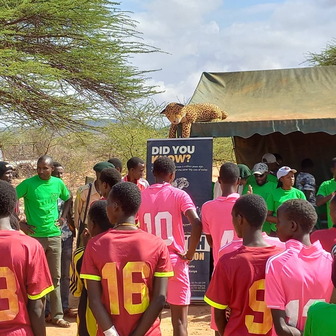 Action for Cheetahs in Kenya tweet media