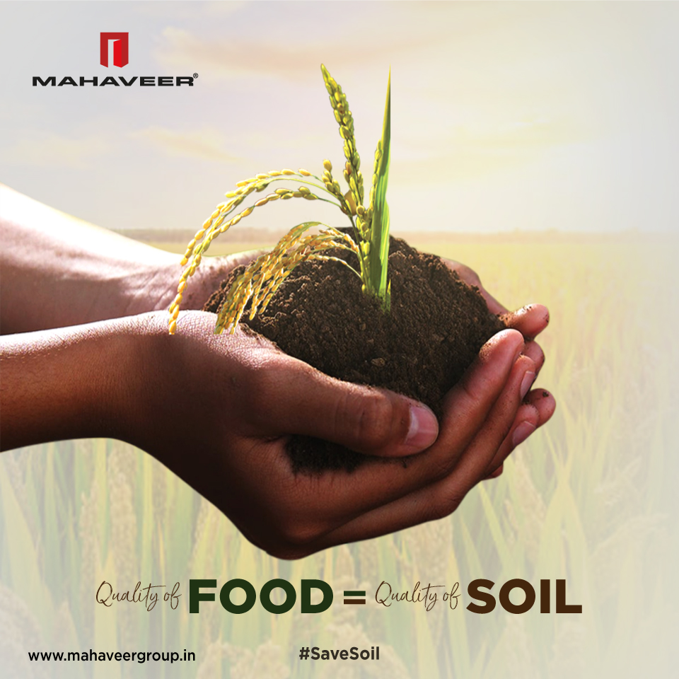 MahaveerRSPL's tweet photo. All the strength comes from food. Food that we eat
needs to be grown under good soil and it is our only
way of ensuring good health. On World Soil Day, let’s
promote to save soil and make the most of what
Nature has offered us.

#WorldSoilDay #MahaveerGroup https://t.co/GMAgXhxTEU
