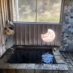 ツイートに含まれる画像