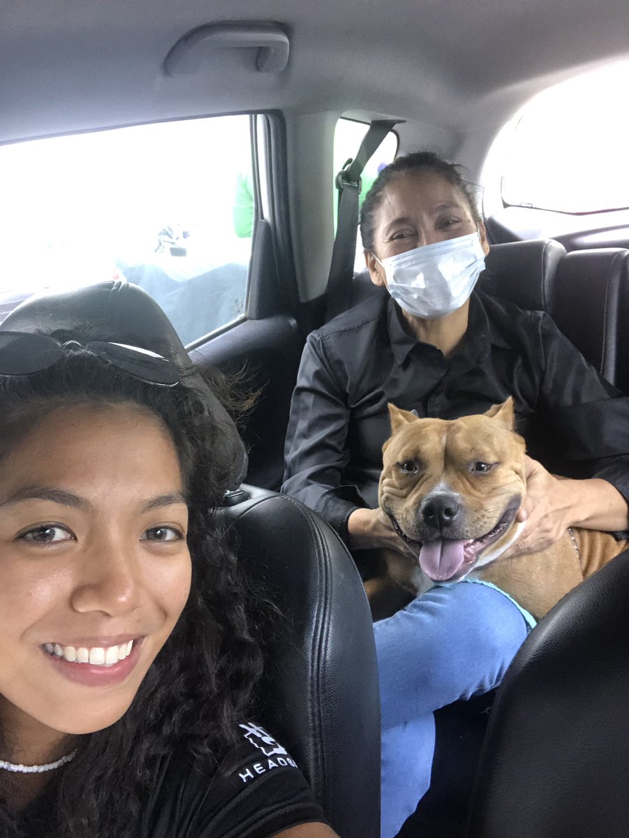 julessamonte's tweet photo. mommy and loucy girl 🤍 https://t.co/NGYd9ugmsZ