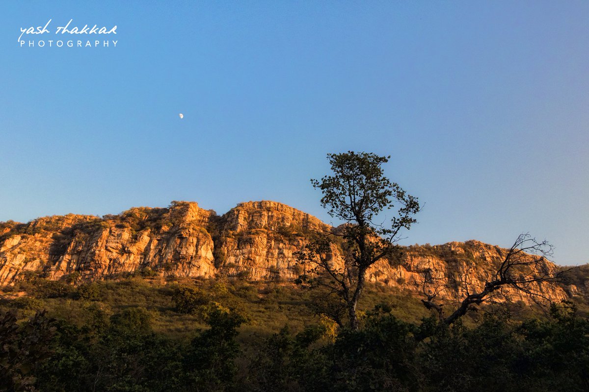 Ranthambore National Park. 

Image © Yash Thakkar Photography LLP

#rajasthan #ranthambore #ranthamborenationalpark #landscape #landscapephotography #incredibleindia #nature #colours #india #photography #traveldiaries #travelphotography #travel #travelphotographer #photographer