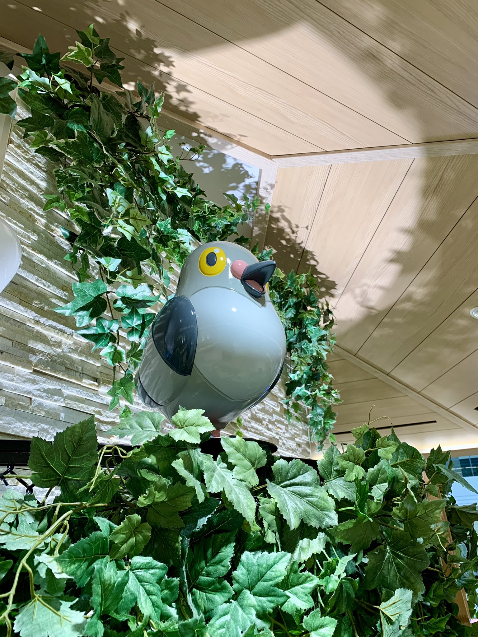 げるまんらんど Gerumanland Twitter