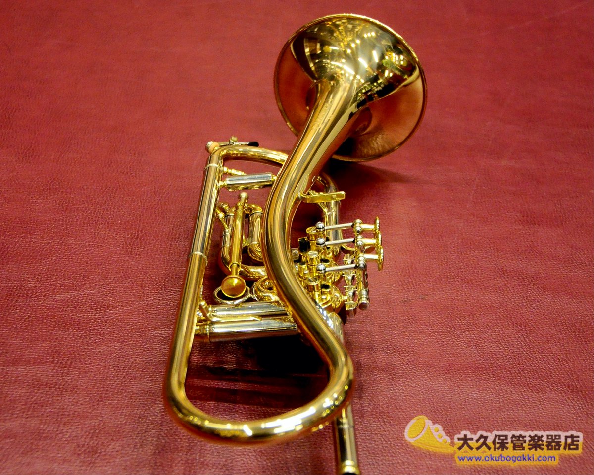 Schagerl Ganschhorn(ガンシュホーン) Vienna model (B♭管