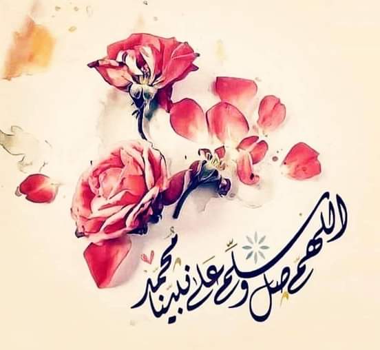 Mostafa18886530's tweet photo. @Lalla__ali000 https://t.co/3PwCJdGtWP