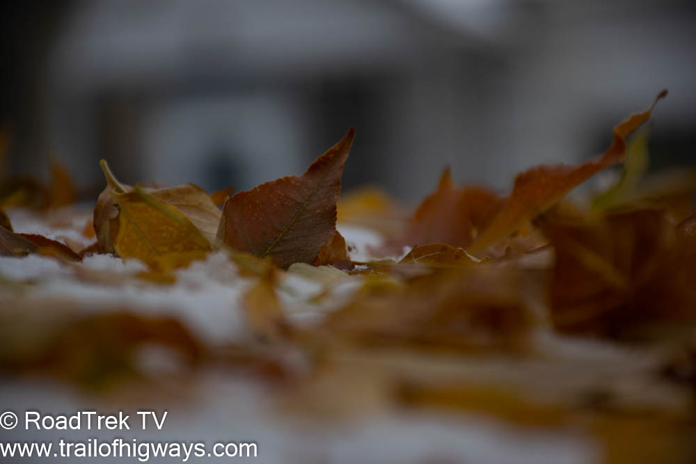 RoadTrekTV's tweet photo. A little leaf fun
:
#optoutside #hiking #rockymountains #absarokeewilderness #mysticlake #trail #hike #trailtrash #flyfishing #flytying #montana #getoutside #lovelives #outdooradventures #hiking #outdoorapparel #trailbum https://t.co/JPRGpQGd4b