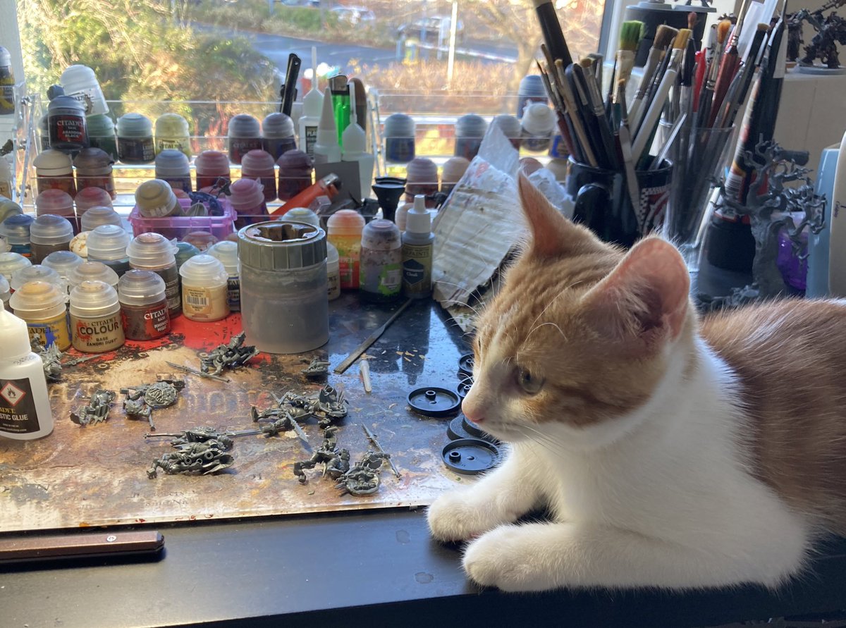 monkeylikesjam's tweet image. Looks like I have a helper! #WarhammerCommunity #warhammer