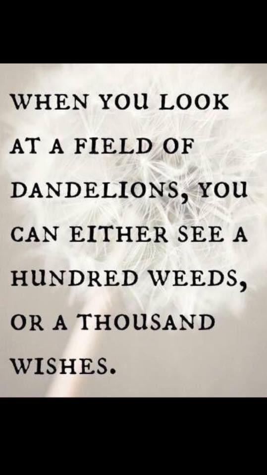 Dr. Bryan Pearlman #MaslowBeforeBloom (@drp_principal) on Twitter photo 