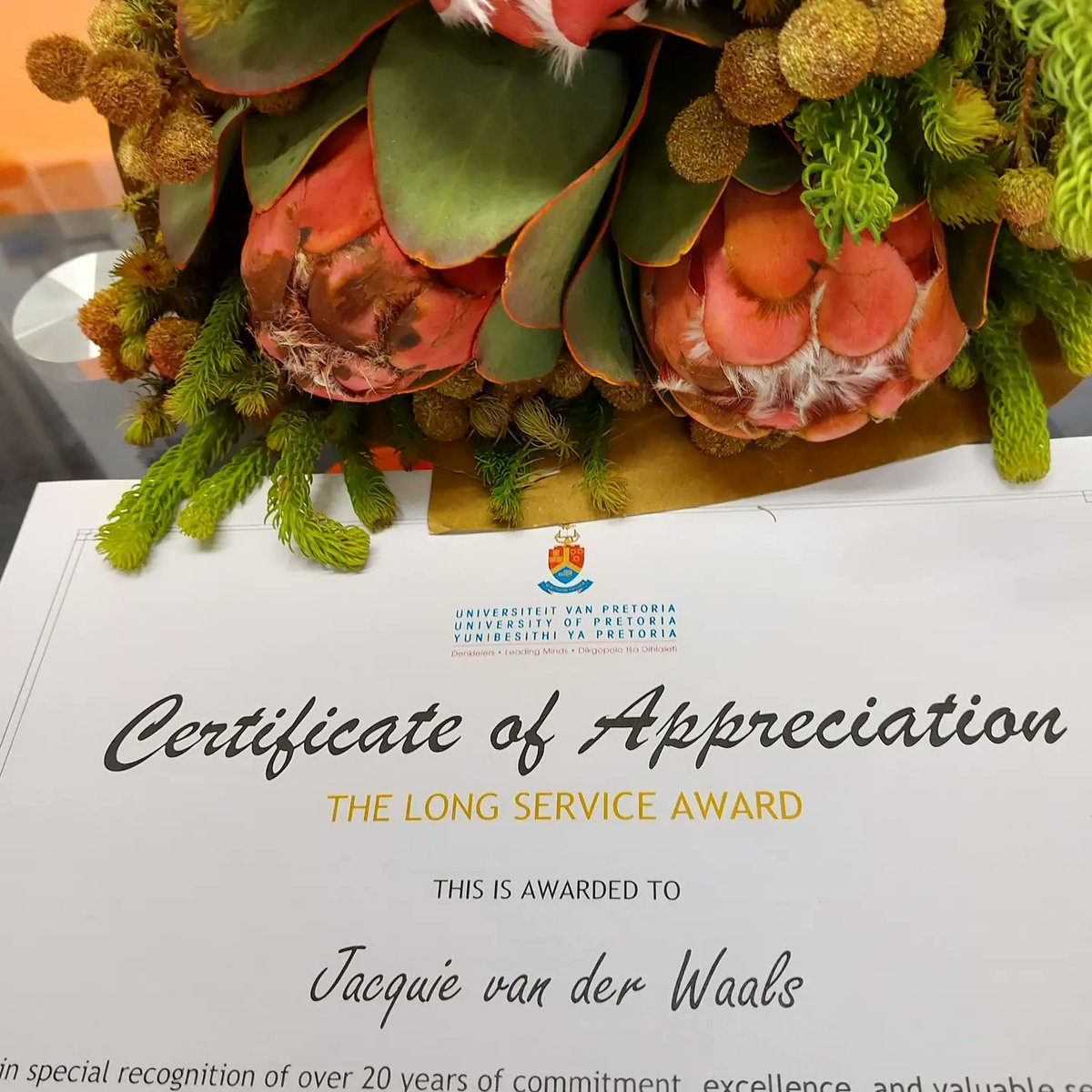 I am so grateful to my Heavenly Father for the opportunity to have worked at UP and in the potato industry for the past 22 years. 
It's with much gratitude that I will be leaving UP as a FULL Professor 🙏 New adventure in 2022 with CRI!