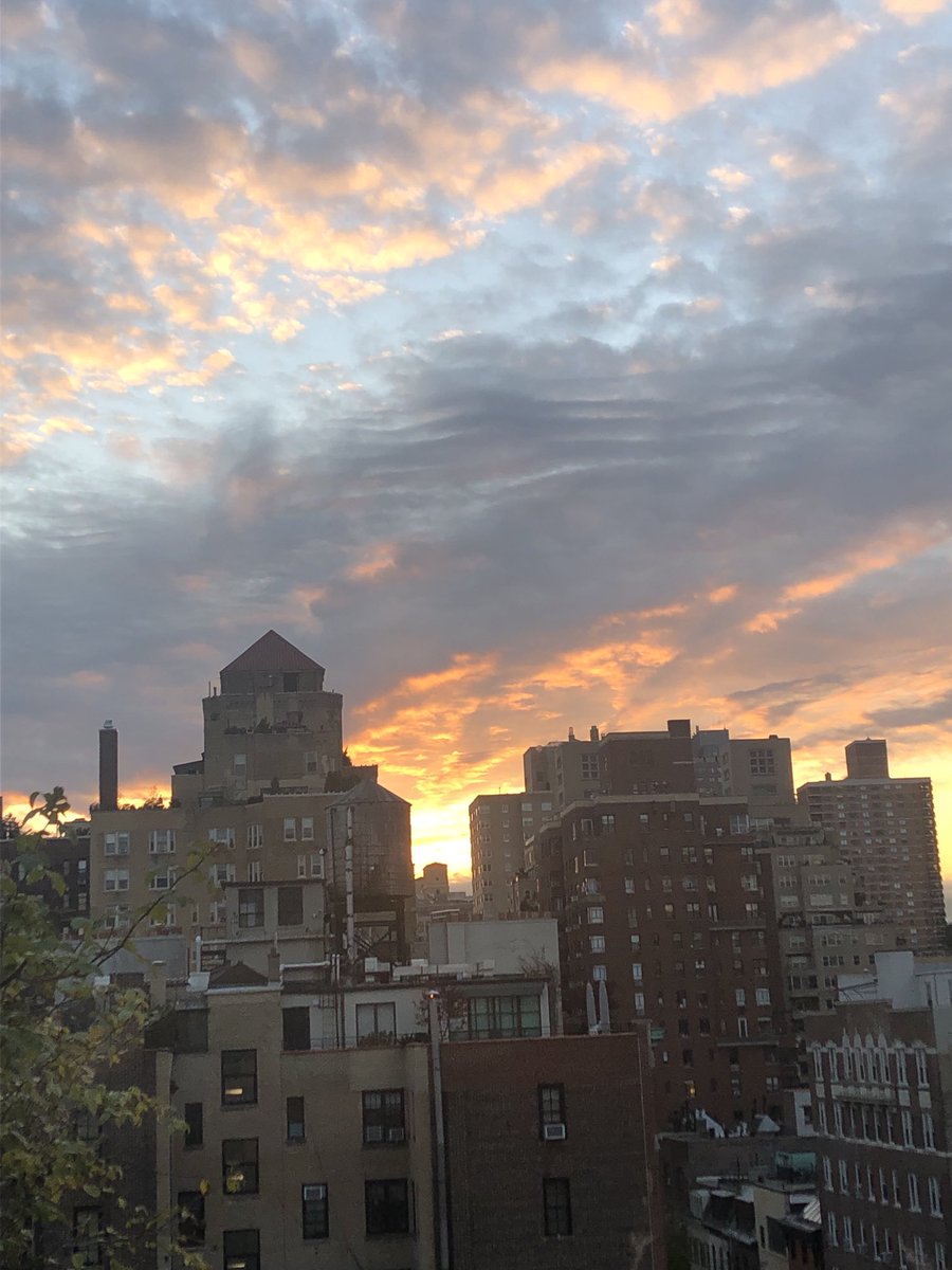 Susan Sarandon tweet media