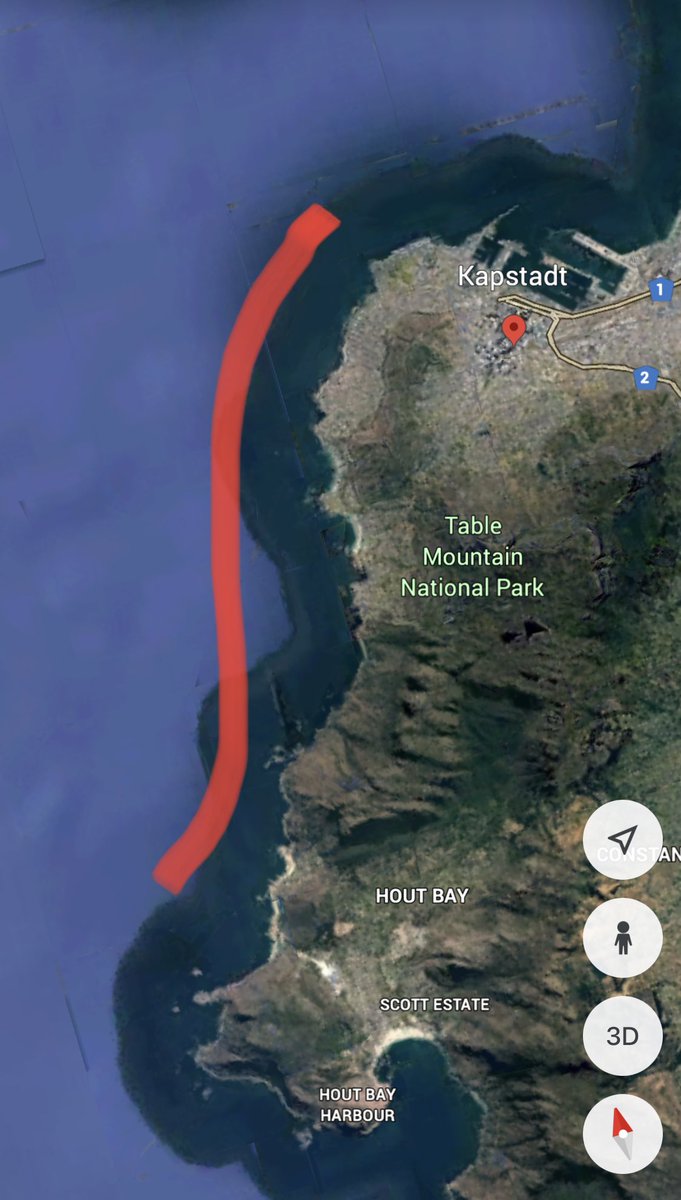 Conservative estimate of 150-200 Humpback #whales currently feeding between Green Point and Llandudno, #CapeTown. They disperse from time to time but aggregate in compact groups of 50-100 when they find a prey ball. <a href="/seasearchafrica/">Sea Search Research & Conservation</a> <a href="/MRI_Whale_Unit/">UP Mammal Research Institute</a>