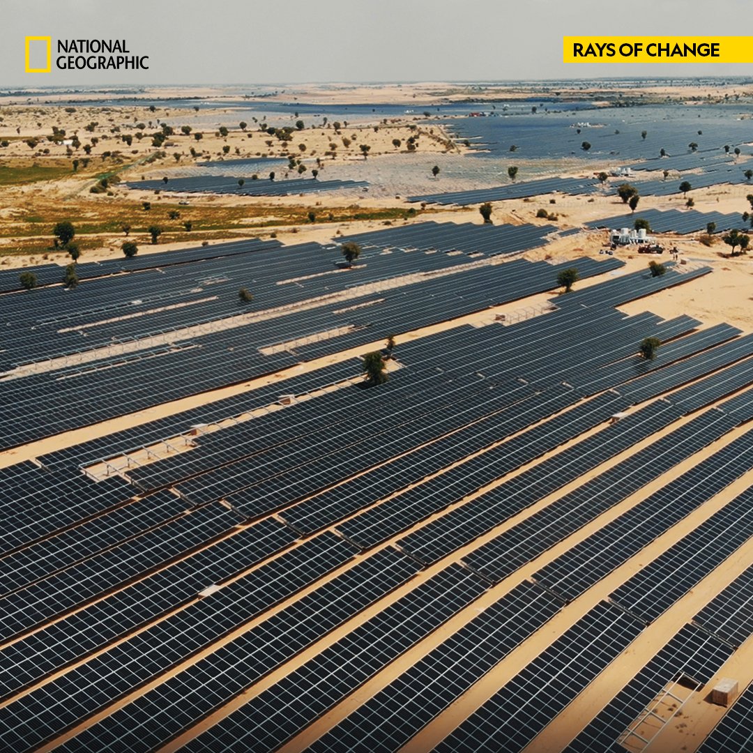 NatGeoIndia's tweet image. In Bikaner, a feat of resolve, hard work, &amp;amp; engineering will be achieved.
See the story of one of the world’s largest solar plant, at a single location, by an independent power producer in #RaysofChange, tonight at 8 pm.
#PartnerContent Produced by Nat Geo with @avaadaenergy