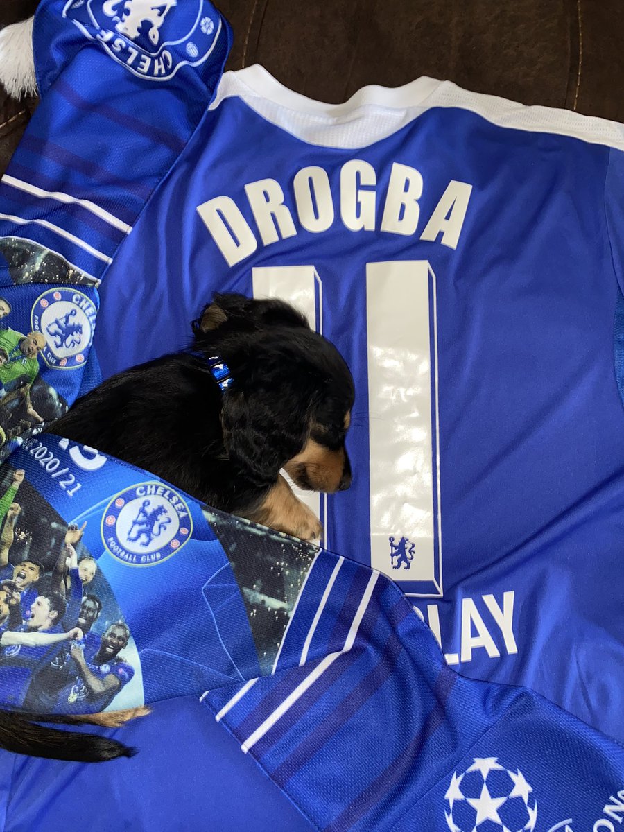 eriinbleevins's tweet photo. @NBCSportsSoccer #MyPLMorning Franklins first Chelsea game!! #Goblues #Upthechels https://t.co/XNT1mvcPtE