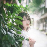 Tsubaki_Rokka@被写体募集のツイート画像