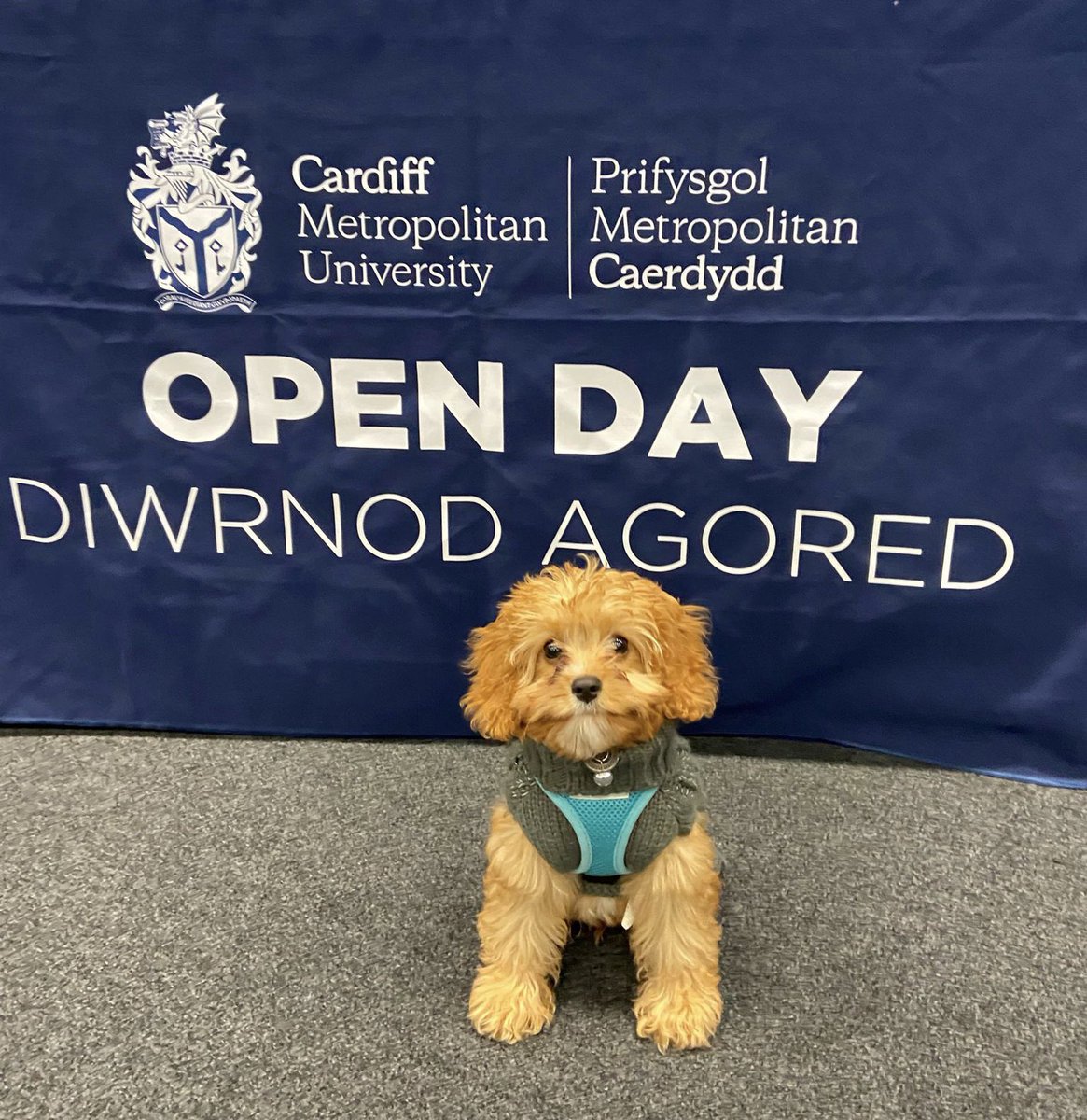 Cardiff Metropolitan University tweet media