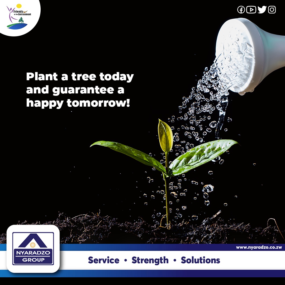 Nyaradzo_Group's tweet photo. Plant a tree today and guarantee a happy tomorrow!
#FriendsOfTheEnvironment
#PlantATreeTodayChallenge
#Fote https://t.co/PriK2Zpb8K