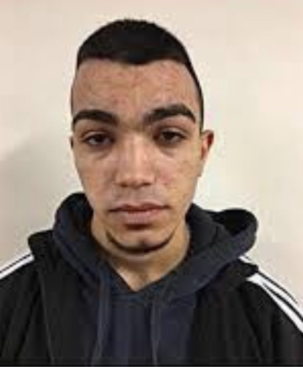 Dykaren 🐸🇸🇪🇬🇱🇩🇰 tweet media