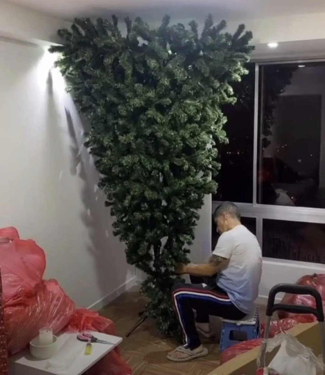 Renezzbro's tweet photo. Así es como un homiefella certificado coloca su árbol de Navidad 🎄 https://t.co/0B4vZEs8aI