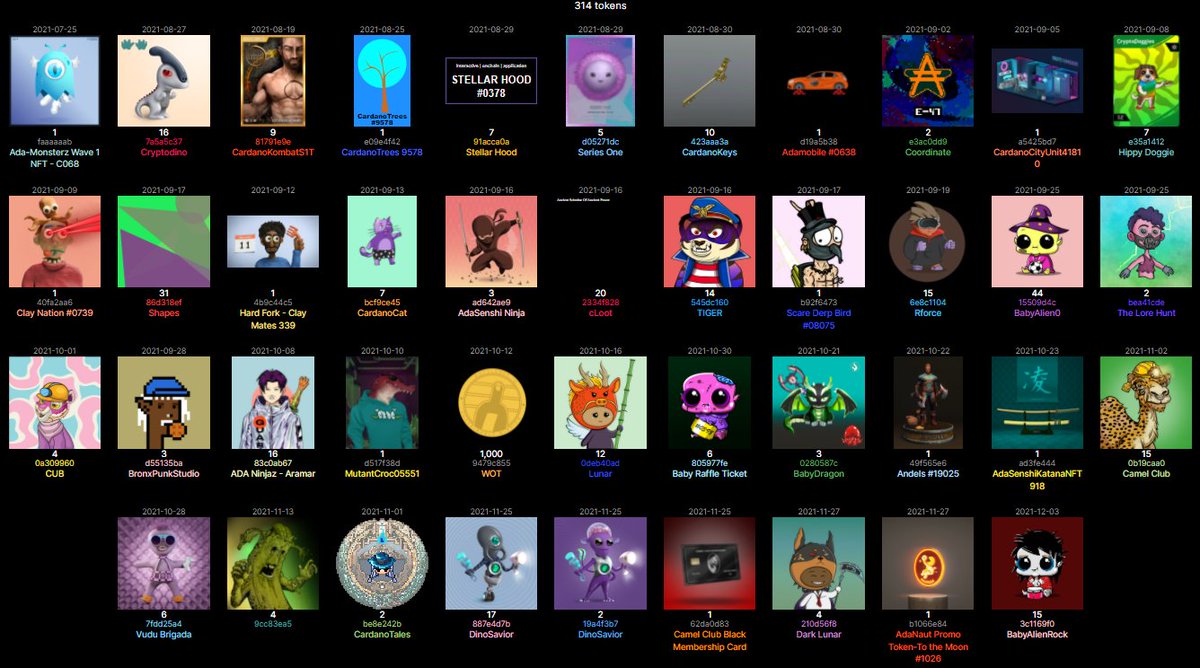 Sssebi🦁 tweet media