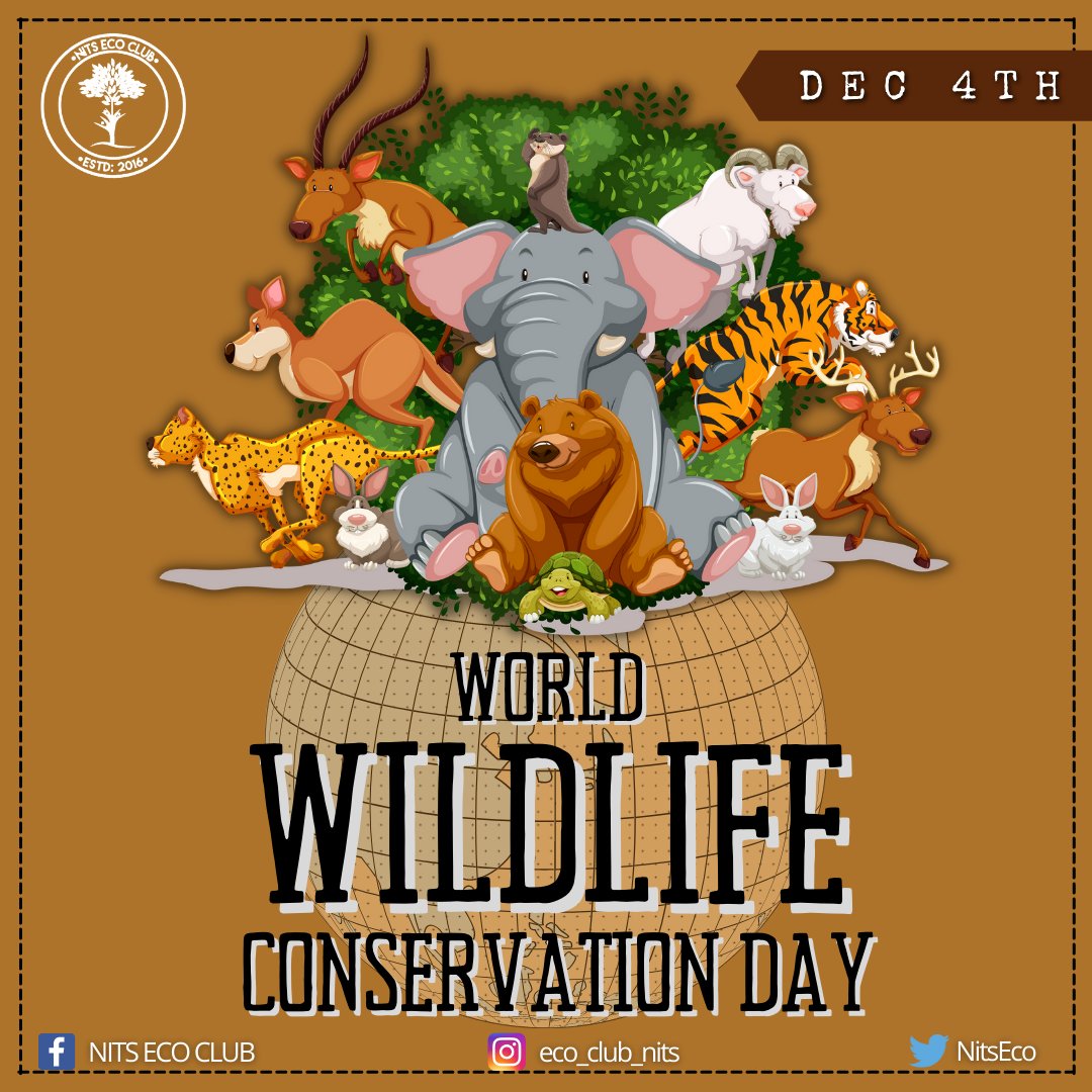NITS ECO CLUB tweet media