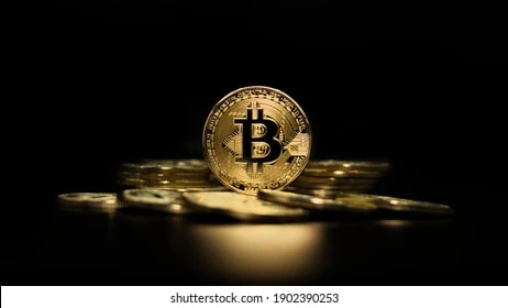 bitcoin_Lisa tweet media