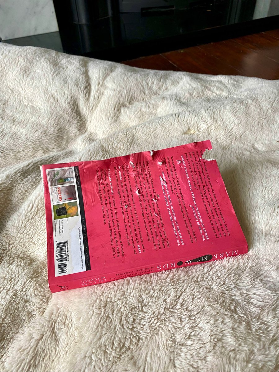 How cats read.    How dogs read.