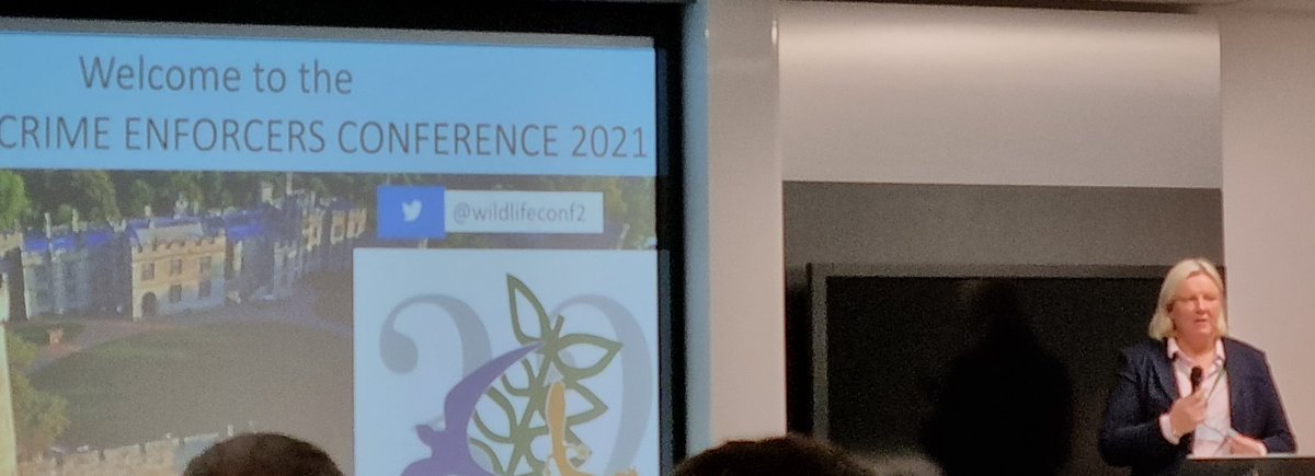 rural_wales's tweet photo. DCC Debbie Ford opens the @wildlifeconf2 as UK National Rural Affairs and Wildlife Crime lead

Announces a new UK police strategic group to address fox hunting🦊

I'm fully supportive of this and I have been nominated part of this group, which I will fully support.
#wildlifeconf https://t.co/8b52vwbuzB