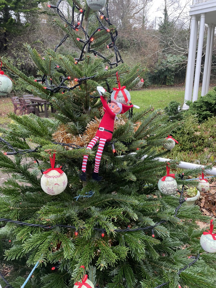 Elizabe12978933's tweet photo. The #CBCH elf loves our tree generously donated by blooming gorgeous florist in Prestatyn @valmartom @SerenaR17191310 @tracypl1 @BetsiCadwaladr @lozzalewis20 https://t.co/hGS7cbCuTT