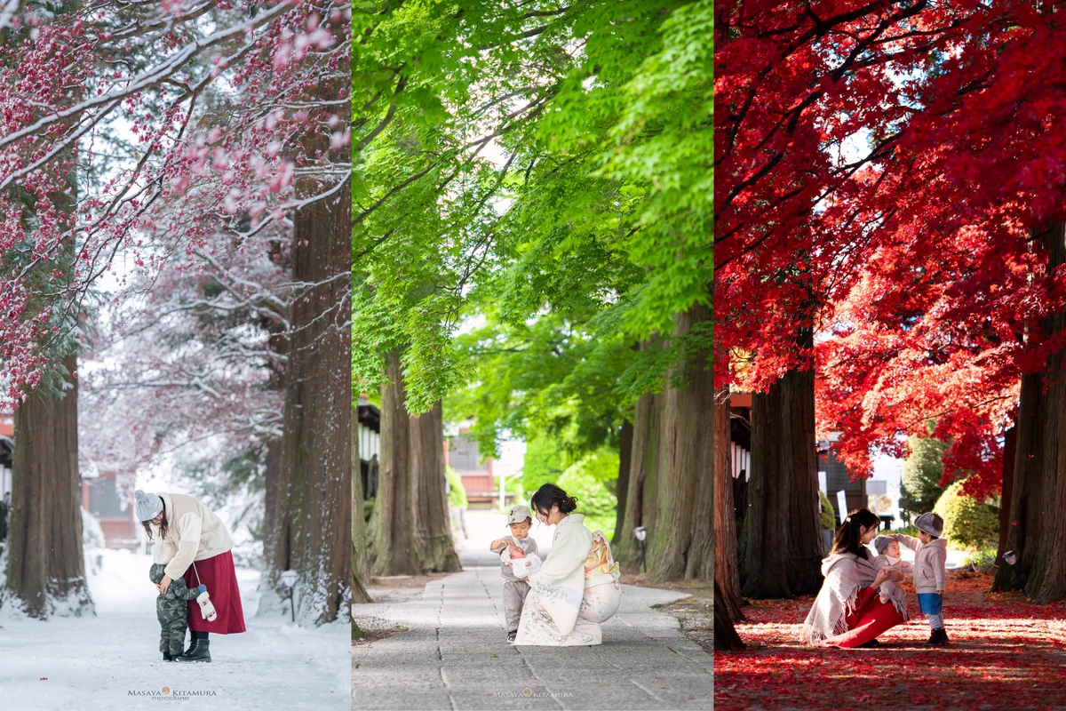 「愛があふれる家族の素敵な写真」美しすぎて感動。同じ場所での撮影だからこそ変化を感じられる。