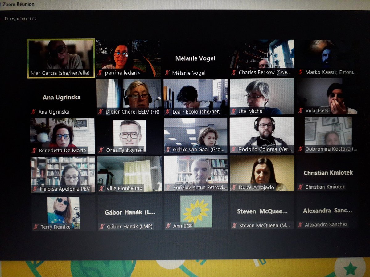 Congrès du parti vert européen aujourd hui, des resolutions fortes sur Afghanistan, municipalités vertes, migration,  Liban, .. fière de nos partis verts.