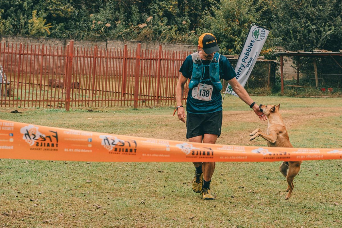 Jack Davis tweet media