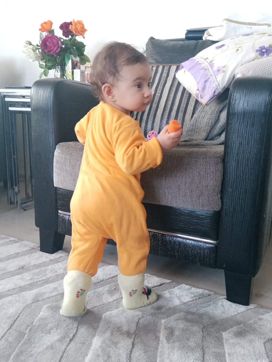 Feray Tokgezer tweet media