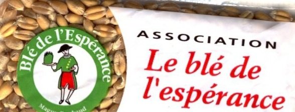 MenteCorpore34's tweet photo. #enAvent laissons germer Les Saintes #Foi #Espérance et #Charité à  l'image des coupelles de blé de La Sainte Barbe dans La Crèche 

Que #DieuLeRoy et #MarieReine nous gardent dans Le Bon Combat à contre courant de ce monde déshumanisé #Manifs4decembre #nnlr https://t.co/TwHM99jMwZ