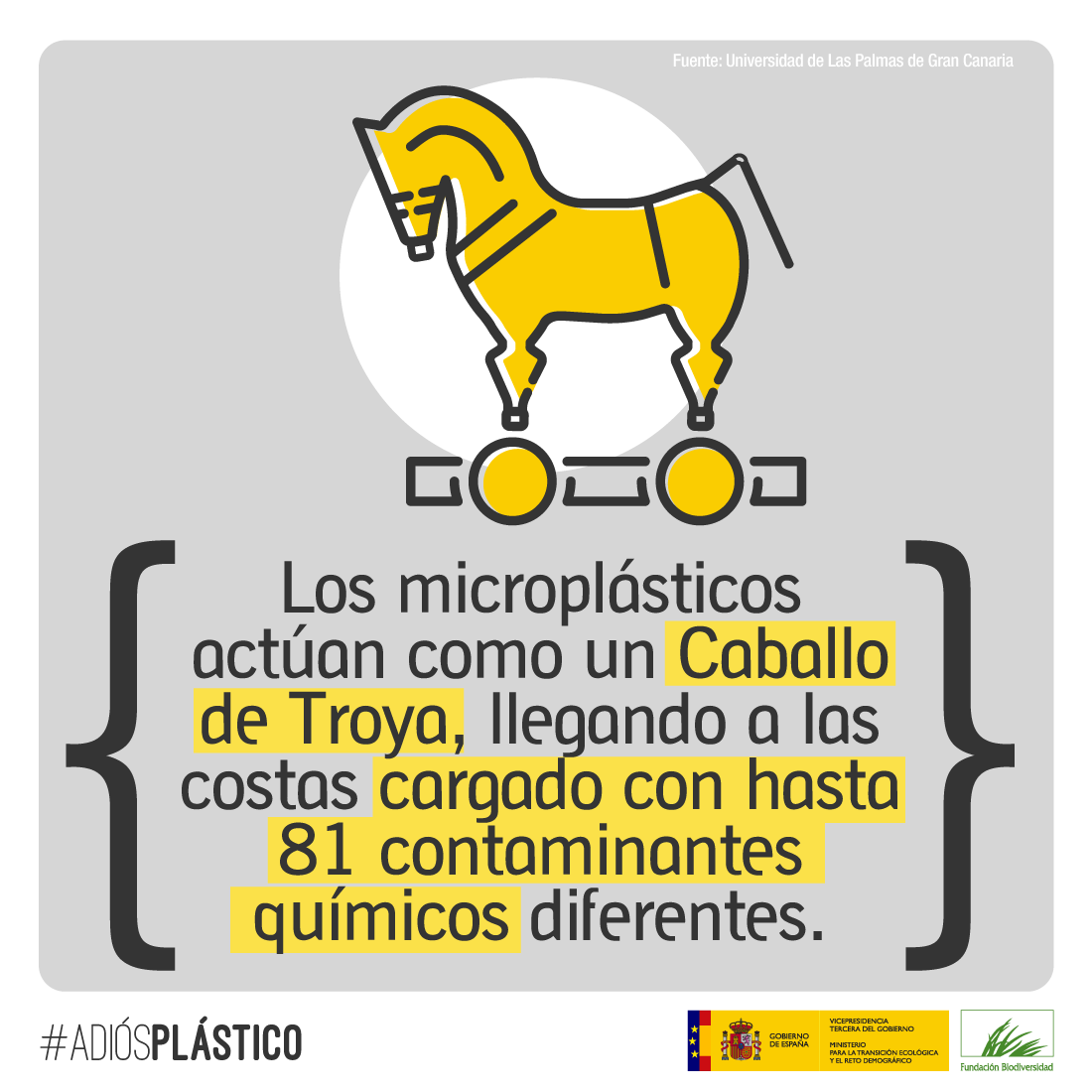 La basura que inunda el océano no solo es un peligro por su propia composición, sino también por su capacidad para absorber y acumular otros contaminantes, desde hidrocarburos hasta pesticidas.

#AdiósPlástico 👋🏻
