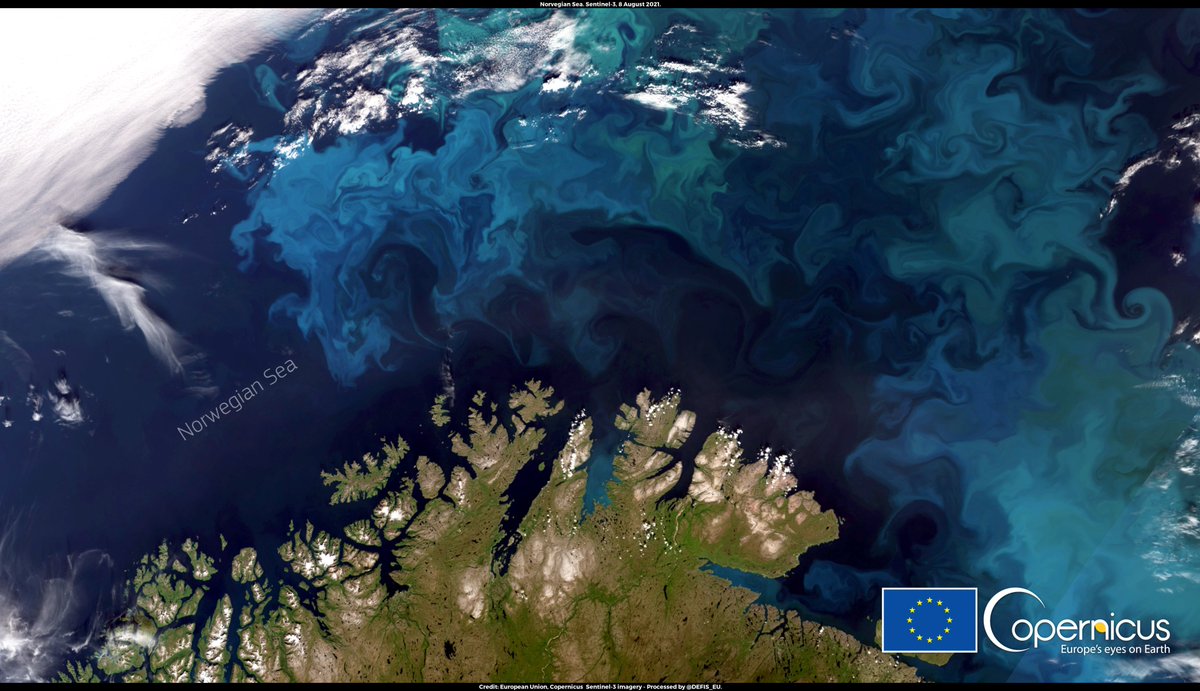 defis_eu's tweet image. #ImageOfTheDay

#ClimateChange is causing a rapid loss of #SeaIce in the #Arctic

Another of its effects could be that, in the region, rain could start to prevail over snow

⬇️#Sentinel3🇪🇺🛰️ image of the Norwegian Seas, an area where such an evolution could be the fastest