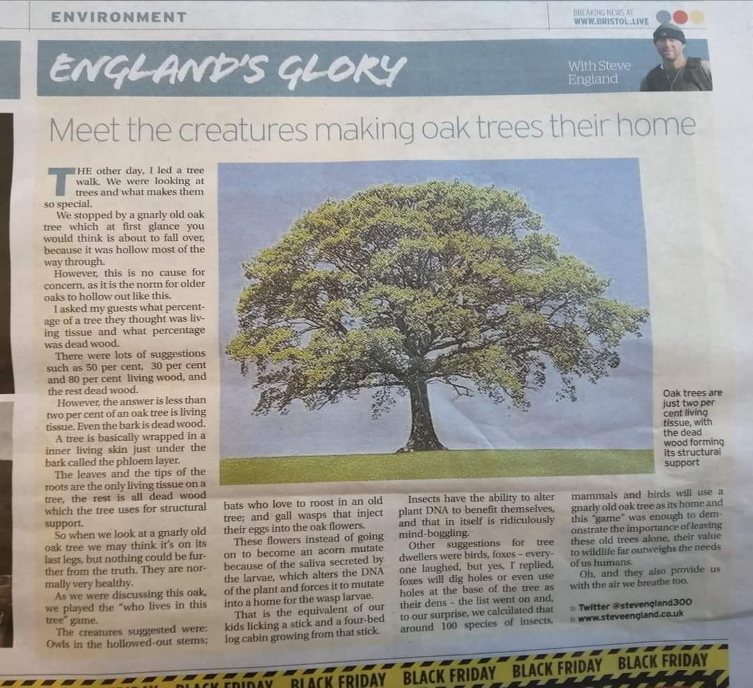 SteveEngland300's tweet photo. A #year in the #life of an #Oaktree is probably one of the most #amazing #lifeforms on #earth my column in the #Bristolpost in #Bristol @kathrynjeffs @AvonNeedsTrees @avonwt @UWEBristol @forestofavon @CllrEllieking we are lucky #Bristolparks have so many #onetreeperchild https://t.co/7RWr40OF9V