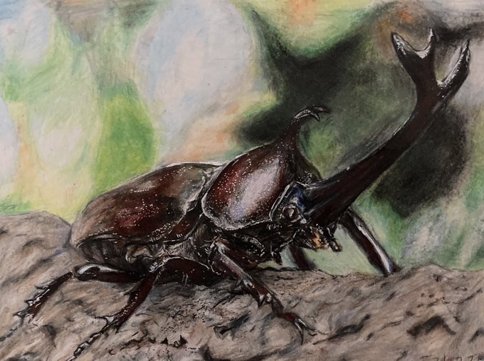 ヤマトカブトムシのtwitterイラスト検索結果 ヤマトカブトムシのtwitterイラスト検索結果