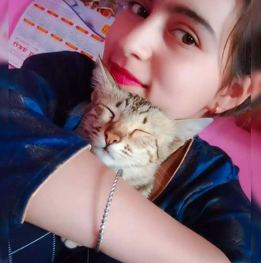 My #Bf_Cat 🐱 
म्याऊँ 😊🤗
<a href="/NikuChoudhary_/">Niku_Bijarniya</a>
